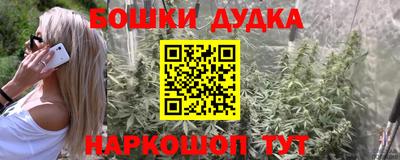 PSILOCYBIN Будённовск