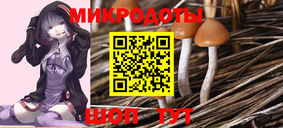 Галлюциногенные грибы Psilocybine cubensis Миллерово