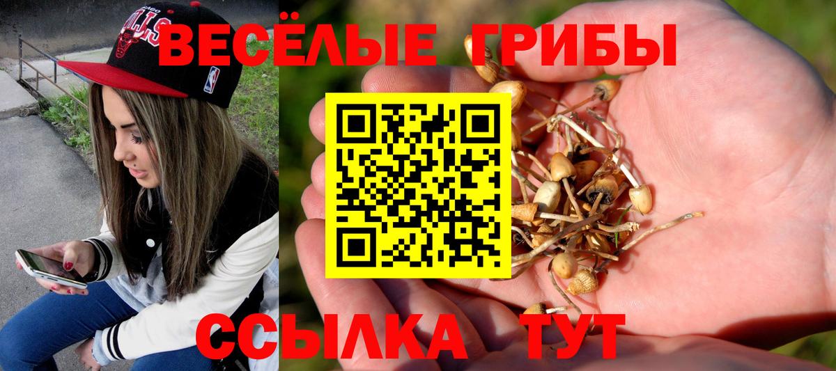 Галлюциногенные грибы GOLDEN TEACHER  Вход с VPN  Миллерово 